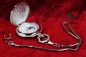 Preview: Taschenuhr mit Kette und Springdeckel Skorpion