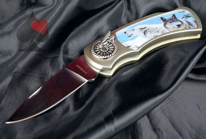 western biker camping klappmesser wolf 3d bild