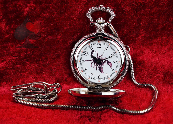 Taschenuhr mit Kette und Springdeckel Skorpion