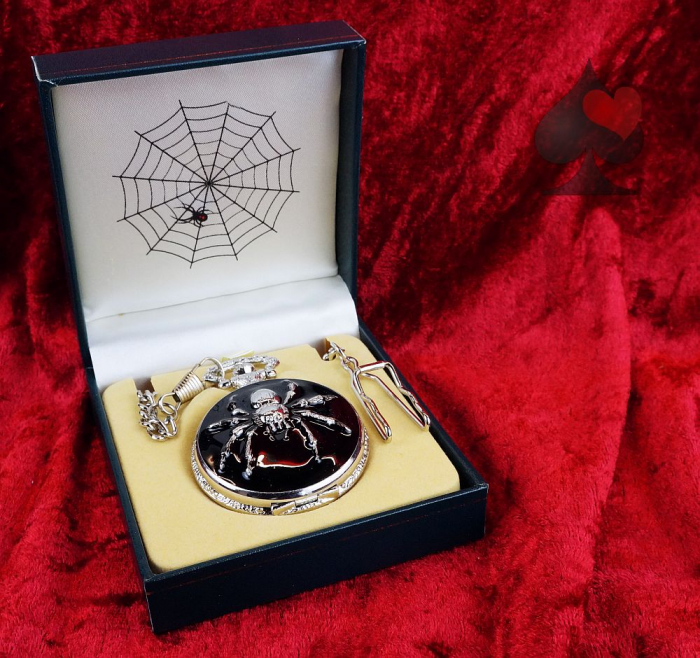 Taschenuhr mit Kette und Springdeckel Spinnennetz