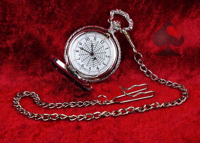 Taschenuhr mit Kette und Springdeckel Spinnennetz