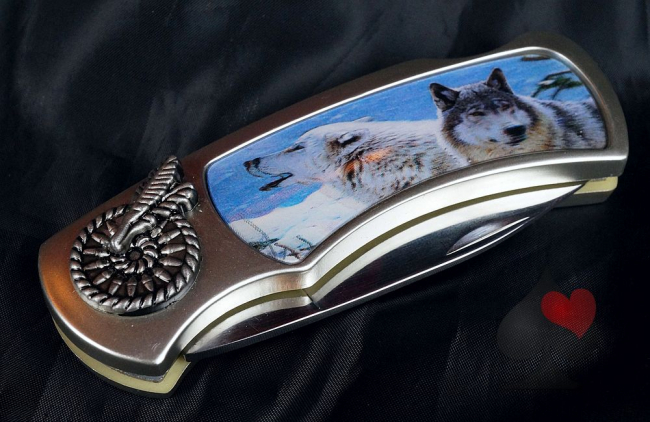 western biker camping klappmesser wolf 3d bild