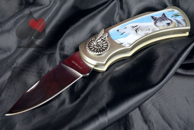 western biker camping klappmesser wolf 3d bild