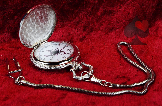 Taschenuhr mit Kette und Springdeckel Skorpion