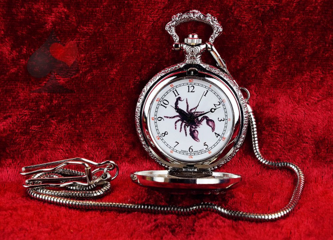 Taschenuhr mit Kette und Springdeckel Skorpion
