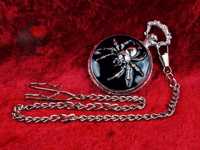 Taschenuhr mit Kette und Springdeckel Spinnennetz